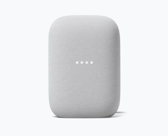 Google Nest Speaker
